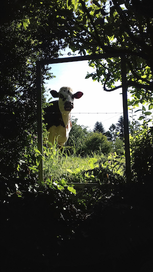 Gertrude, pour le poème Les hommes à leurs fenêtres