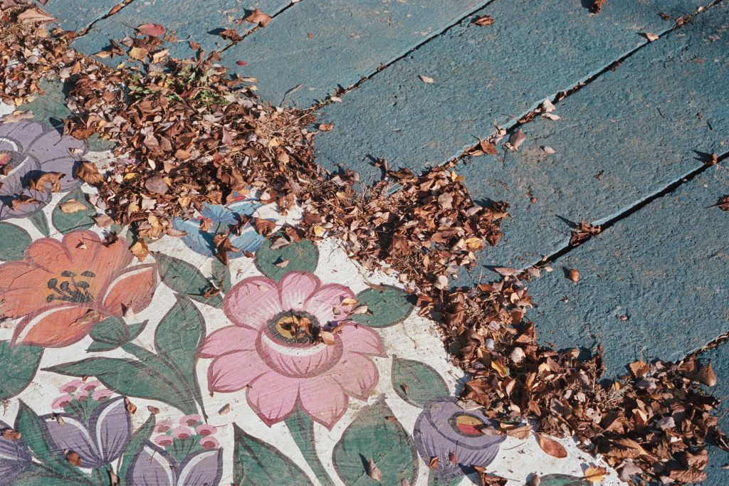 Apres les cigognes - Vanessa Kuzay