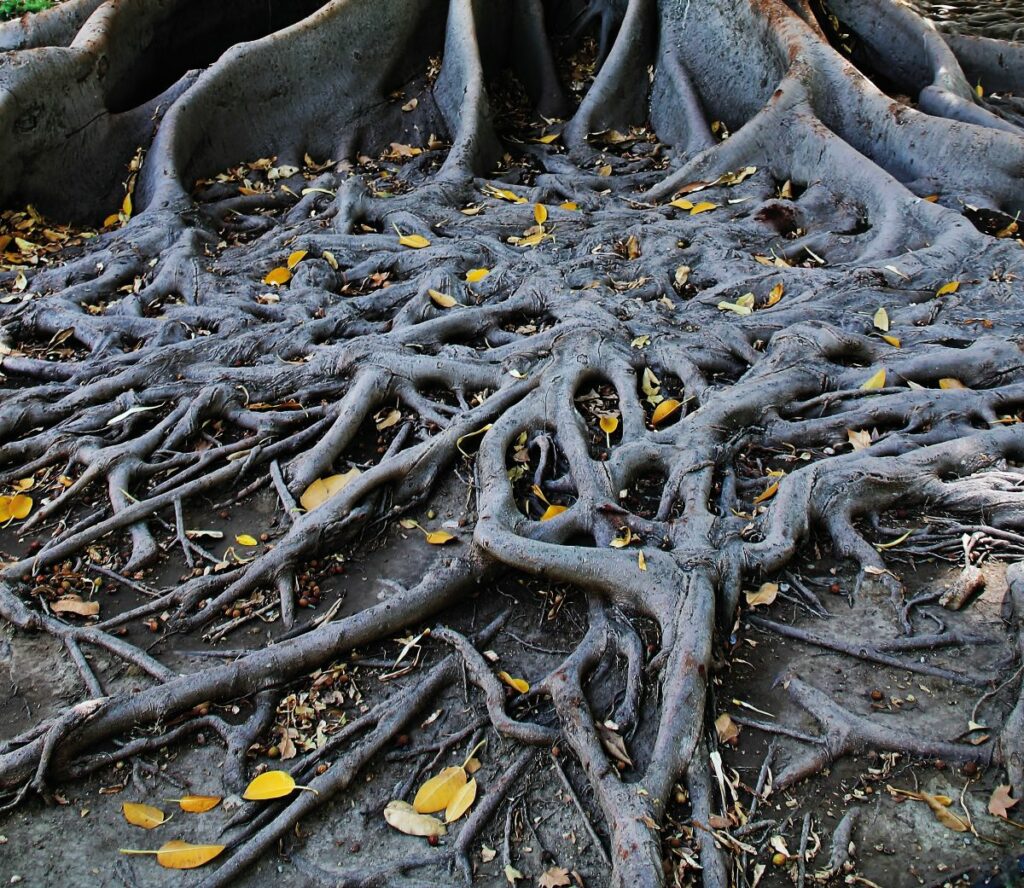 Errements - Photographie de Lionel Laboudique dans Pourtant n°2