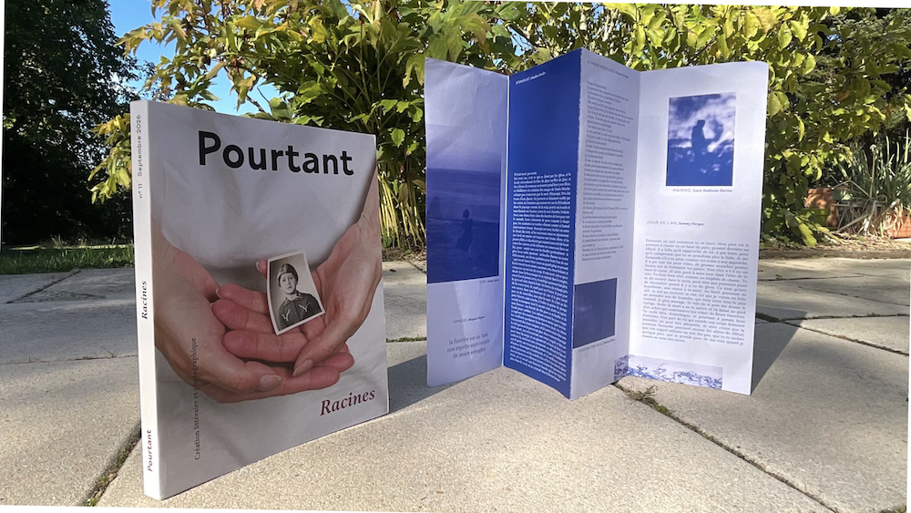 Pourtant Racines et Pourtant couleur Bleuet